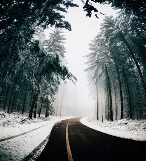 تصاویر فصل زمستان بخش اول ✔️ زیبایی های طبیعت را در این فصل به نمایش می گذارند.⭐︁ سفیدی این فصل سرشار از آرامش و سکوت می شود چرا که زمین به خواب رفته است.
